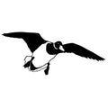 Flying Mallard Hunting Truck Decal -Hunting Sticker - 5042